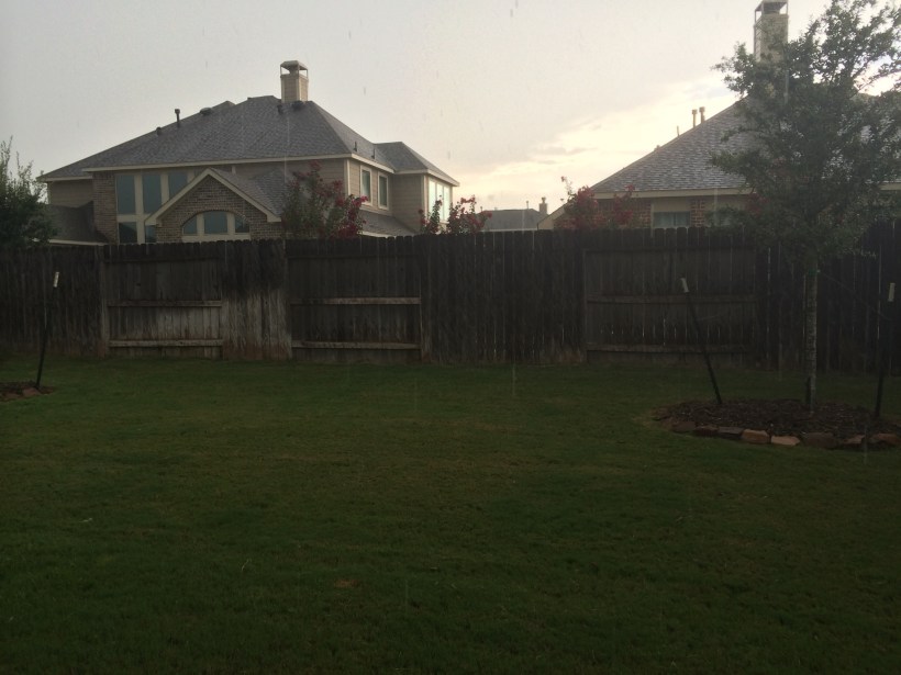 Rain painting our fences